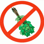 Не парьтесь